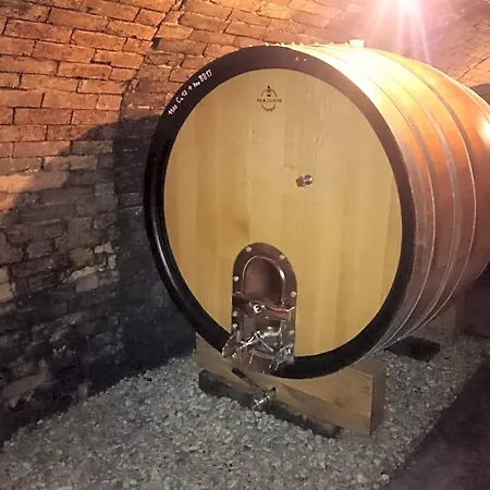 홈스테이 Weingut Wagner Leodagger