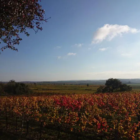 Weingut Wagner Leodagger
