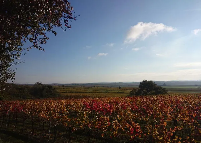 Weingut Wagner Leodagger